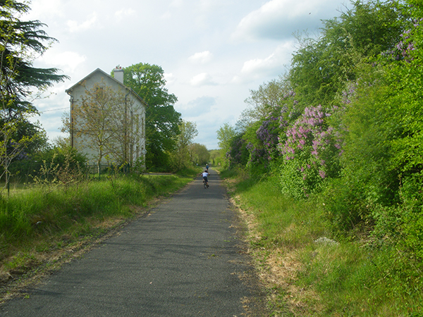 ligne verte